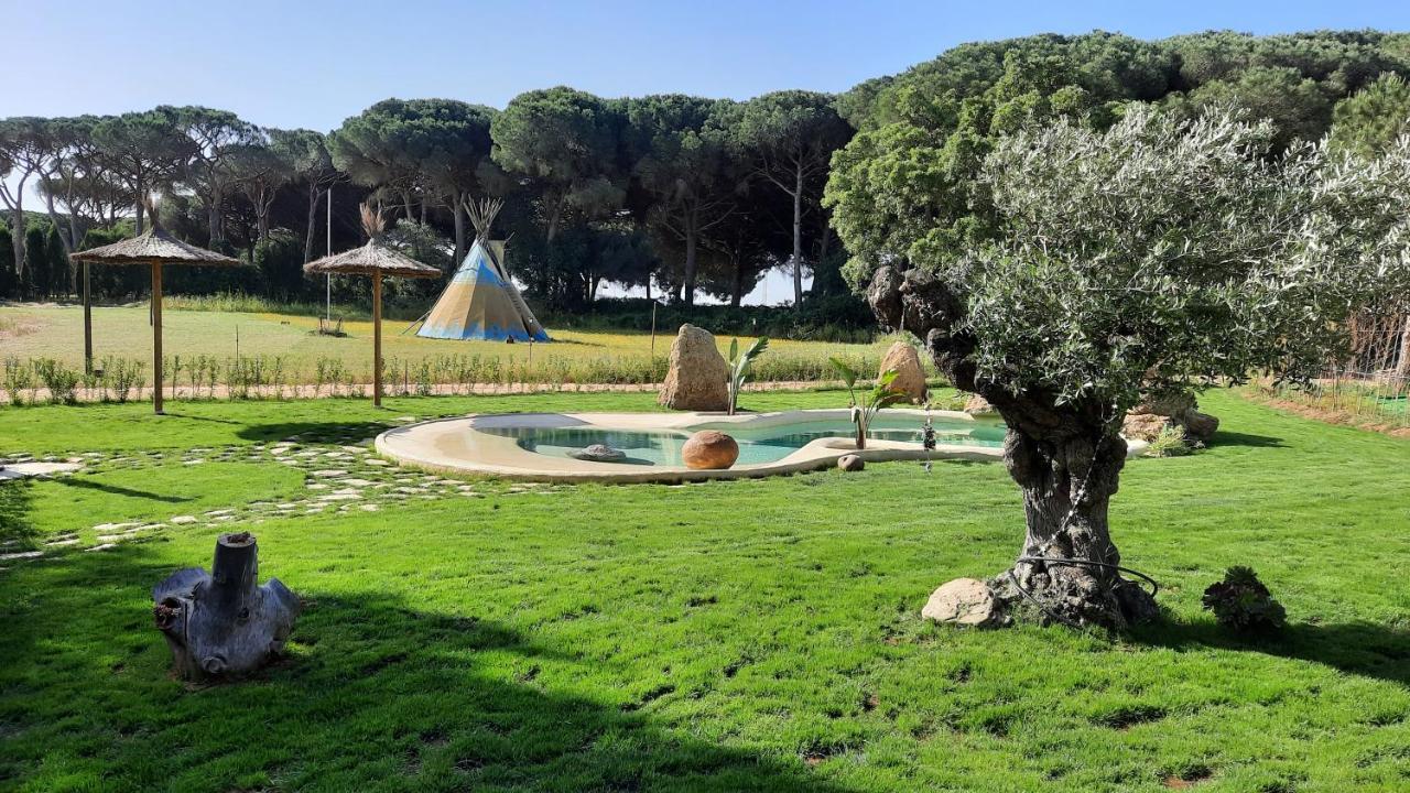 El Oasis De Anayansi Cabanas Con Encanto ベヘール・デ・ラ・フロンテーラ エクステリア 写真
