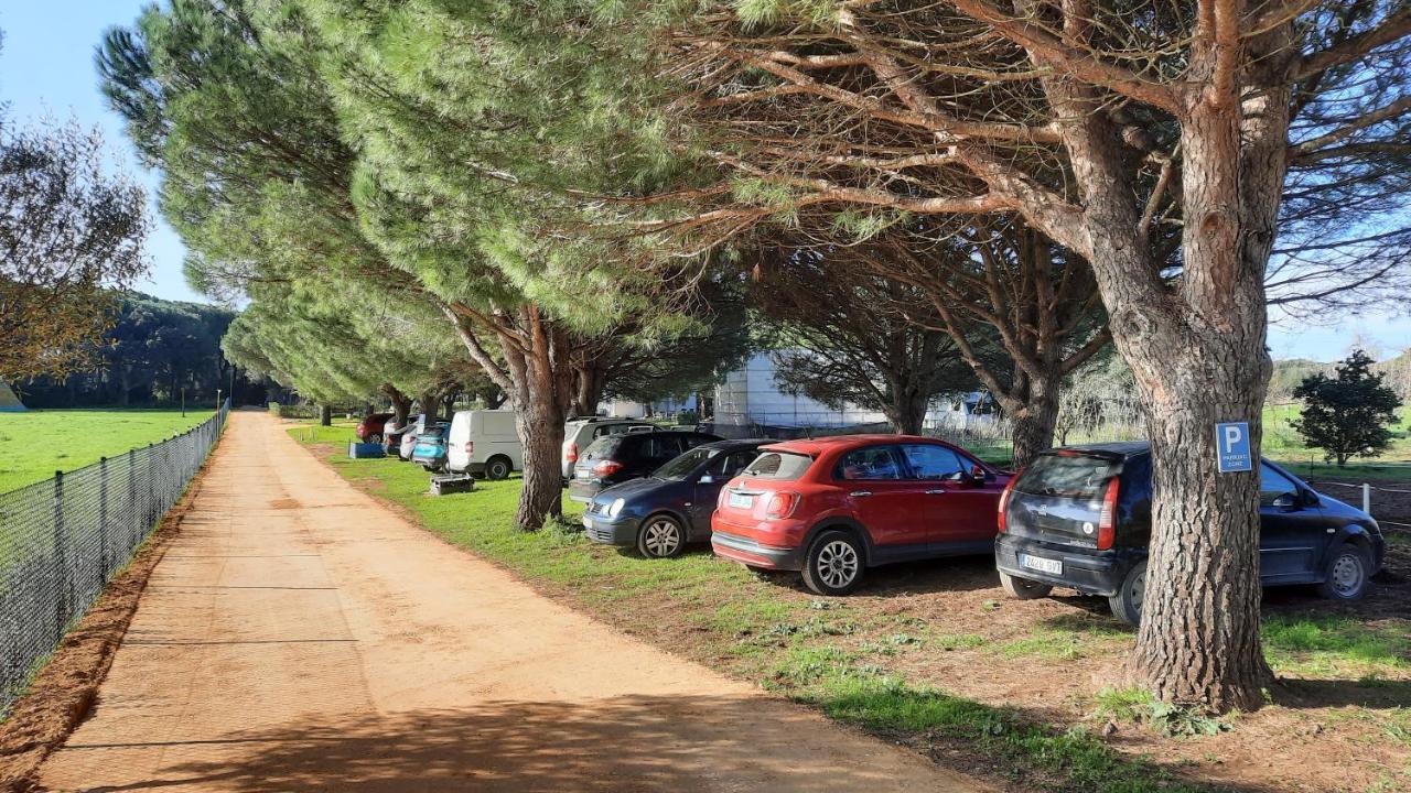 El Oasis De Anayansi Cabanas Con Encanto ベヘール・デ・ラ・フロンテーラ エクステリア 写真