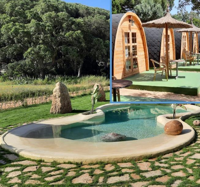 El Oasis De Anayansi Cabanas Con Encanto ベヘール・デ・ラ・フロンテーラ エクステリア 写真